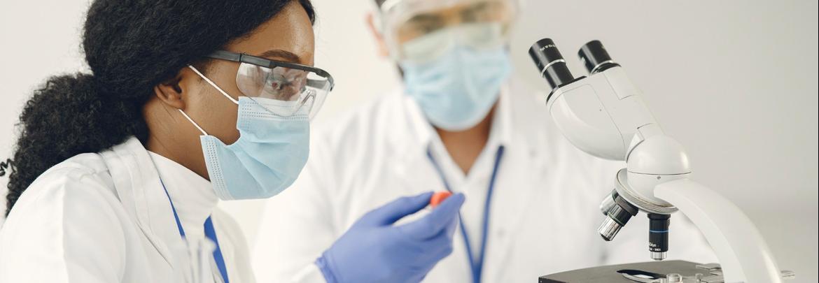 Researchers examine specimens in a lab.